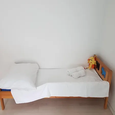 Above Ljubljanica River Laibach